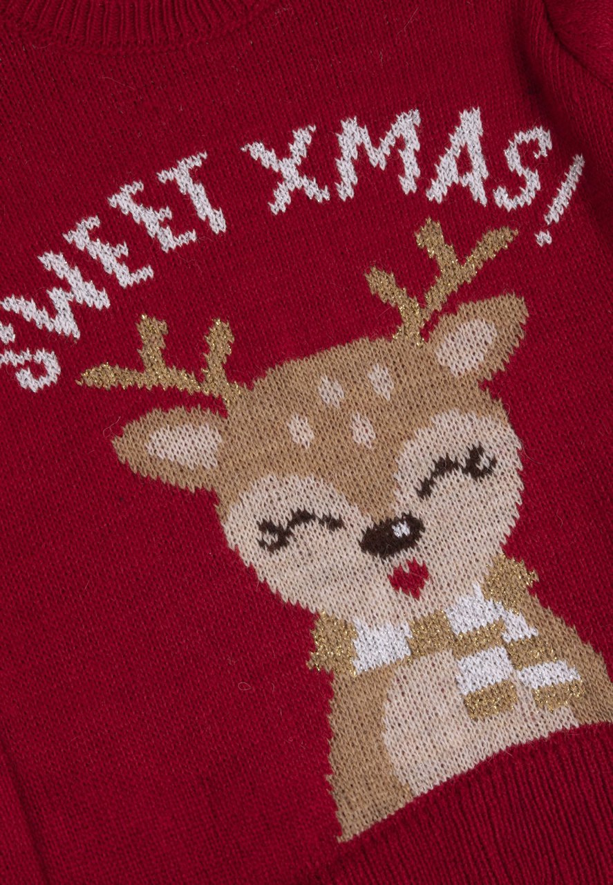 Maglione di Natale con alce - NUOVA COLLEZIONE CHICCO A/I 2024